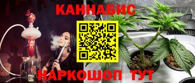 ешки Будённовск