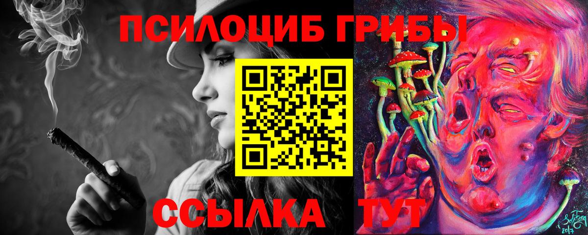 купить наркотики сайты  Вход с VPN  Невинномысск  Галлюциногенные грибы Psilocybe 
